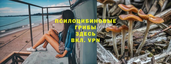 мдпв Алзамай